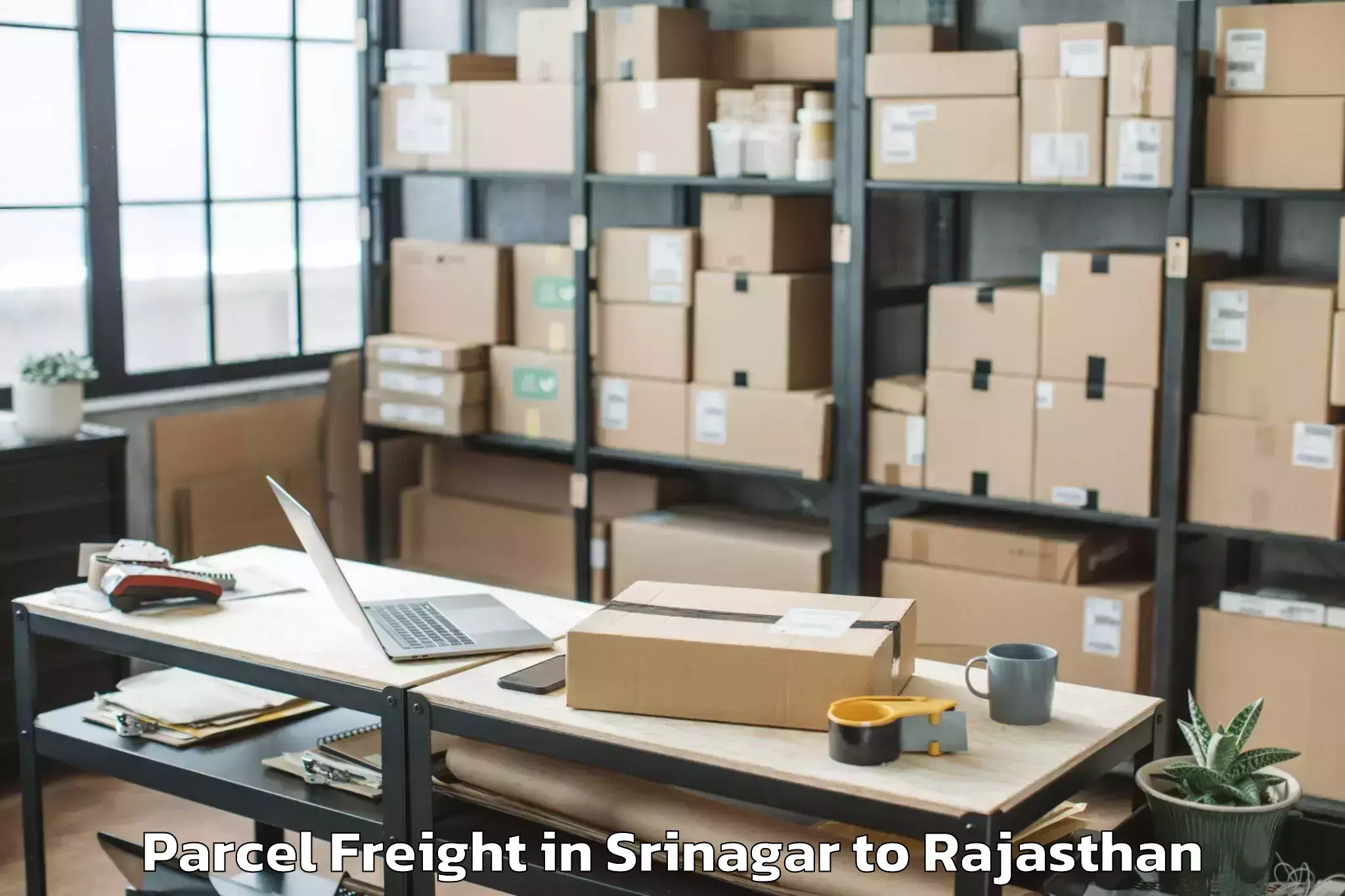 Get Srinagar to Rajsamand Parcel Freight